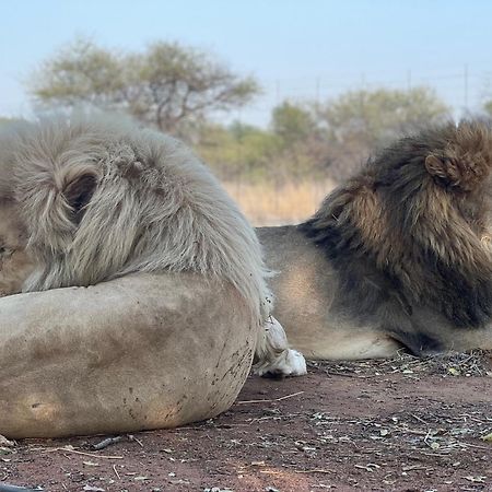 Simba Safaris African Pride Exotic Lodge Lephalale Kültér fotó