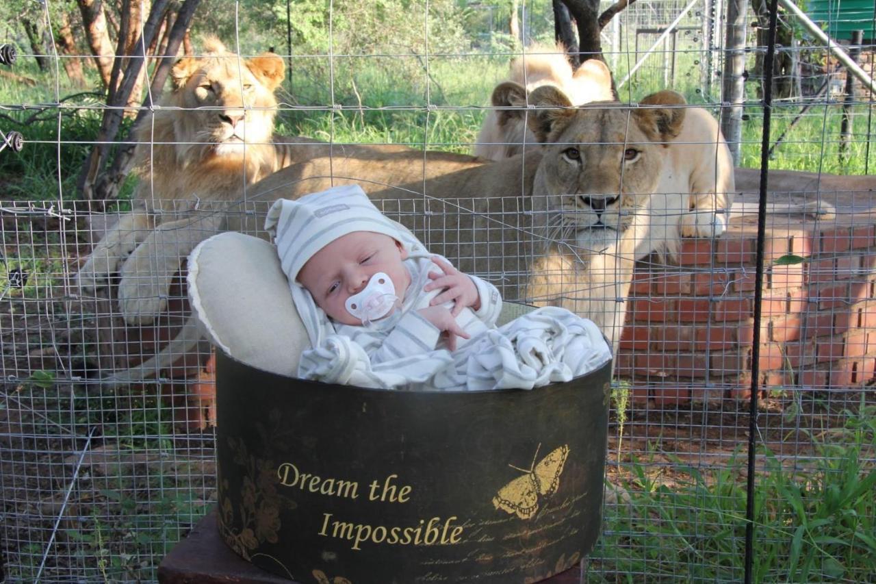 Simba Safaris African Pride Exotic Lodge Lephalale Kültér fotó