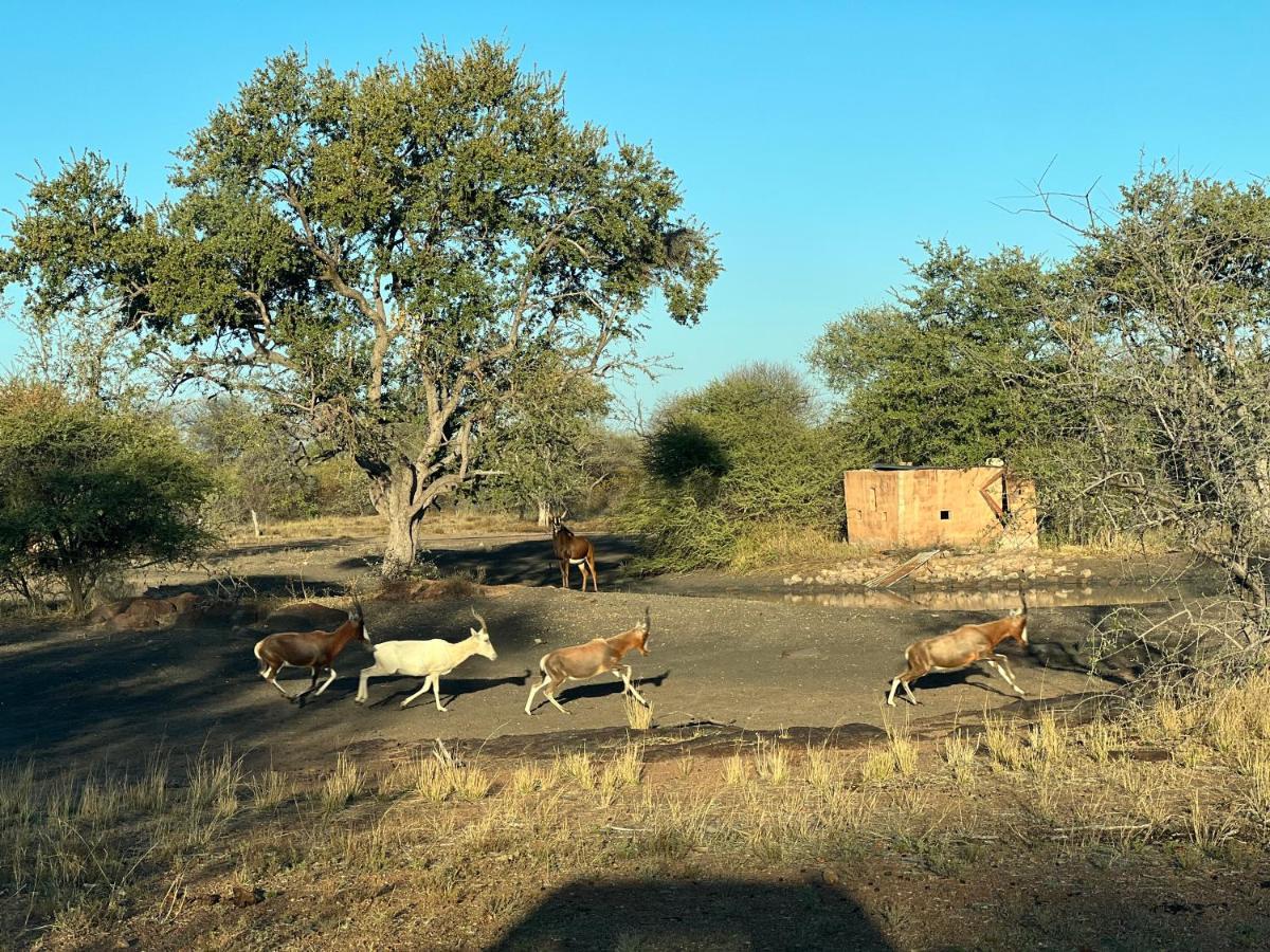 Simba Safaris African Pride Exotic Lodge Lephalale Kültér fotó