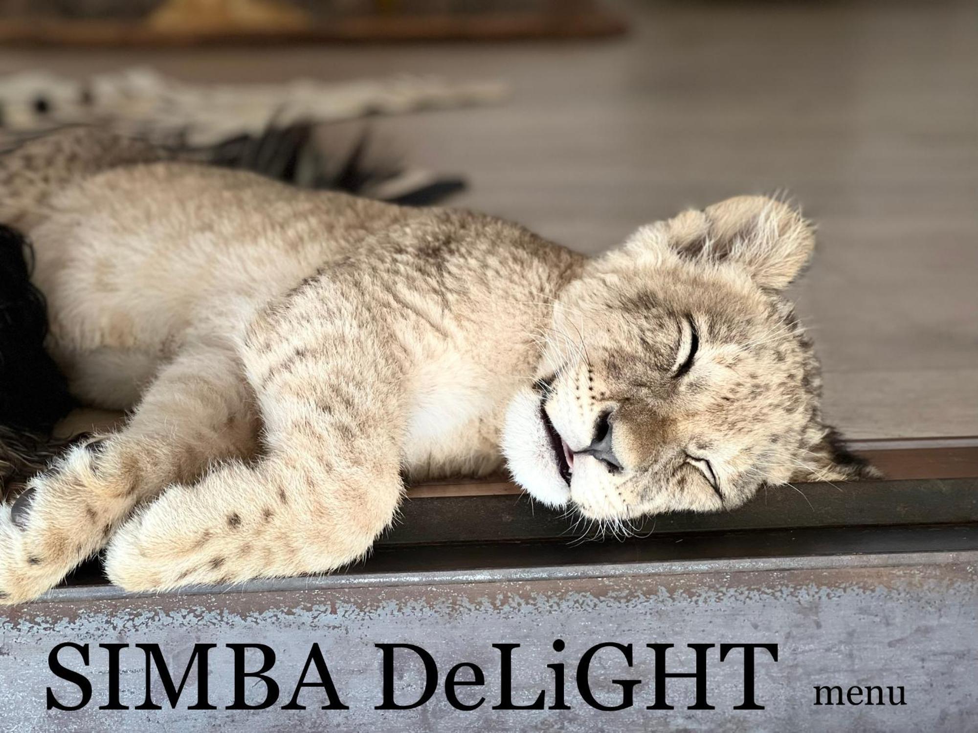 Simba Safaris African Pride Exotic Lodge Lephalale Kültér fotó