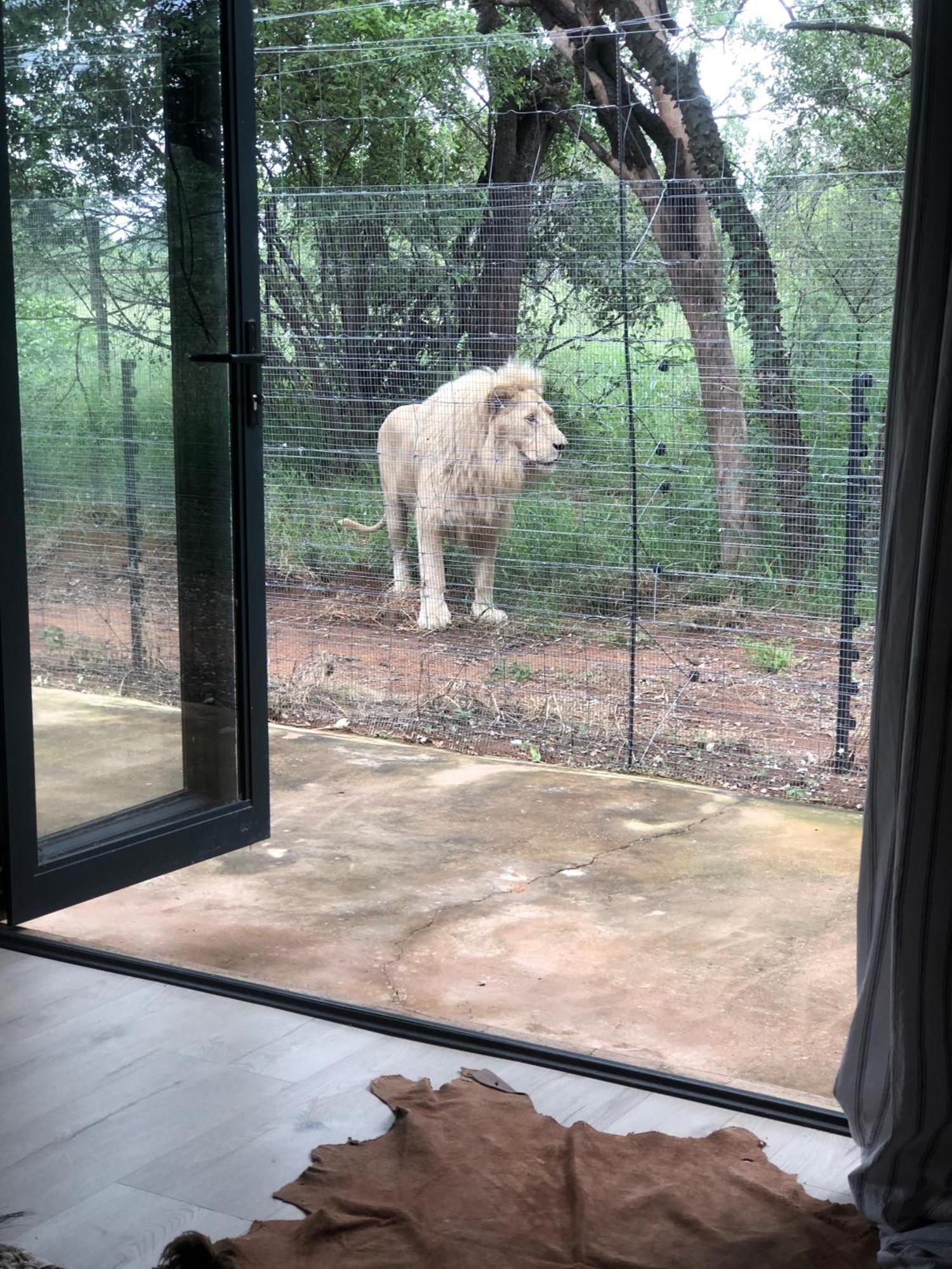 Simba Safaris African Pride Exotic Lodge Lephalale Kültér fotó