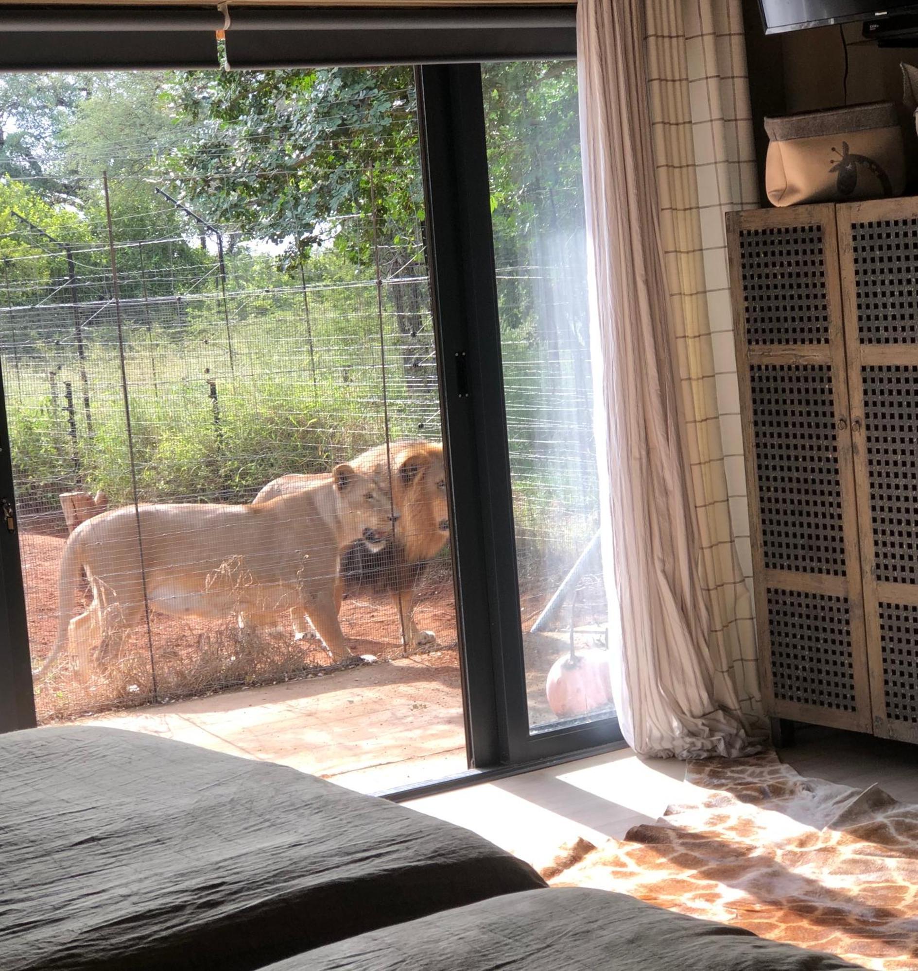 Simba Safaris African Pride Exotic Lodge Lephalale Kültér fotó