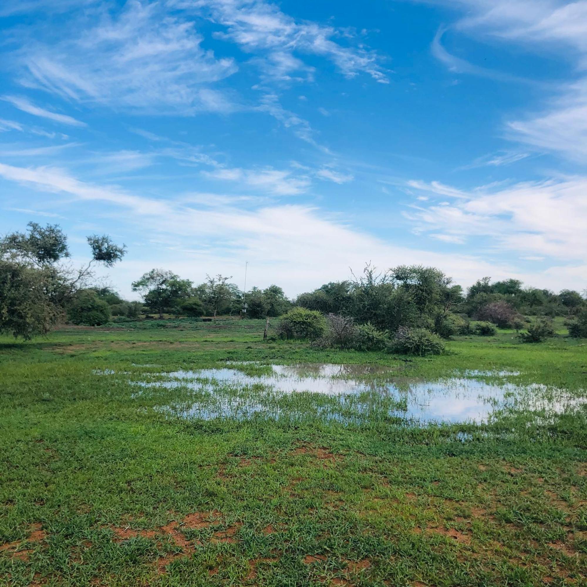 Simba Safaris African Pride Exotic Lodge Lephalale Kültér fotó