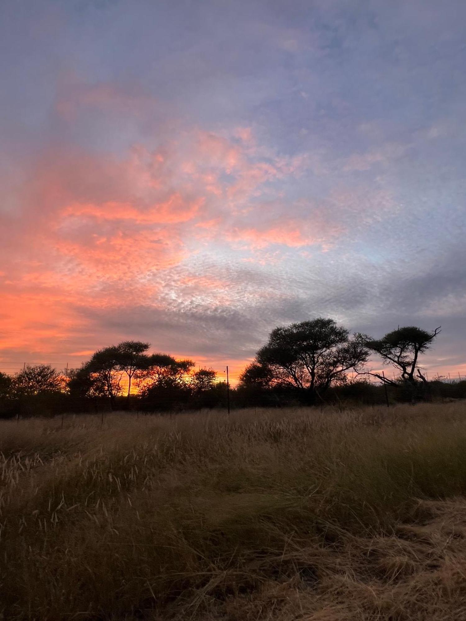Simba Safaris African Pride Exotic Lodge Lephalale Kültér fotó