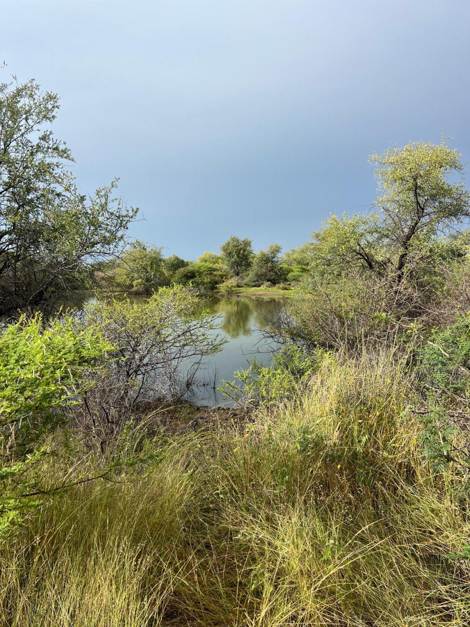 Simba Safaris African Pride Exotic Lodge Lephalale Kültér fotó